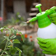 Біопрепарати