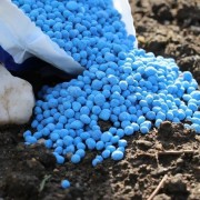 Мікродобрива